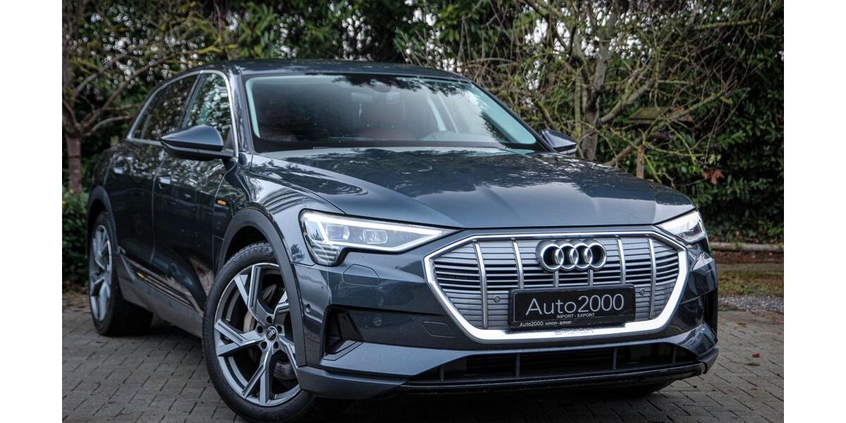 Audi e-tron 145.800 km 20.990 &euro; Unna 59427