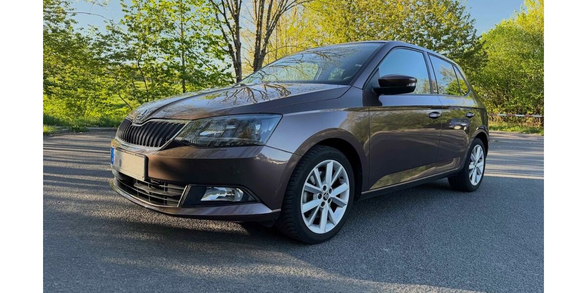 Skoda Fabia 68.000 km 10.900 &euro; Hemer 58675