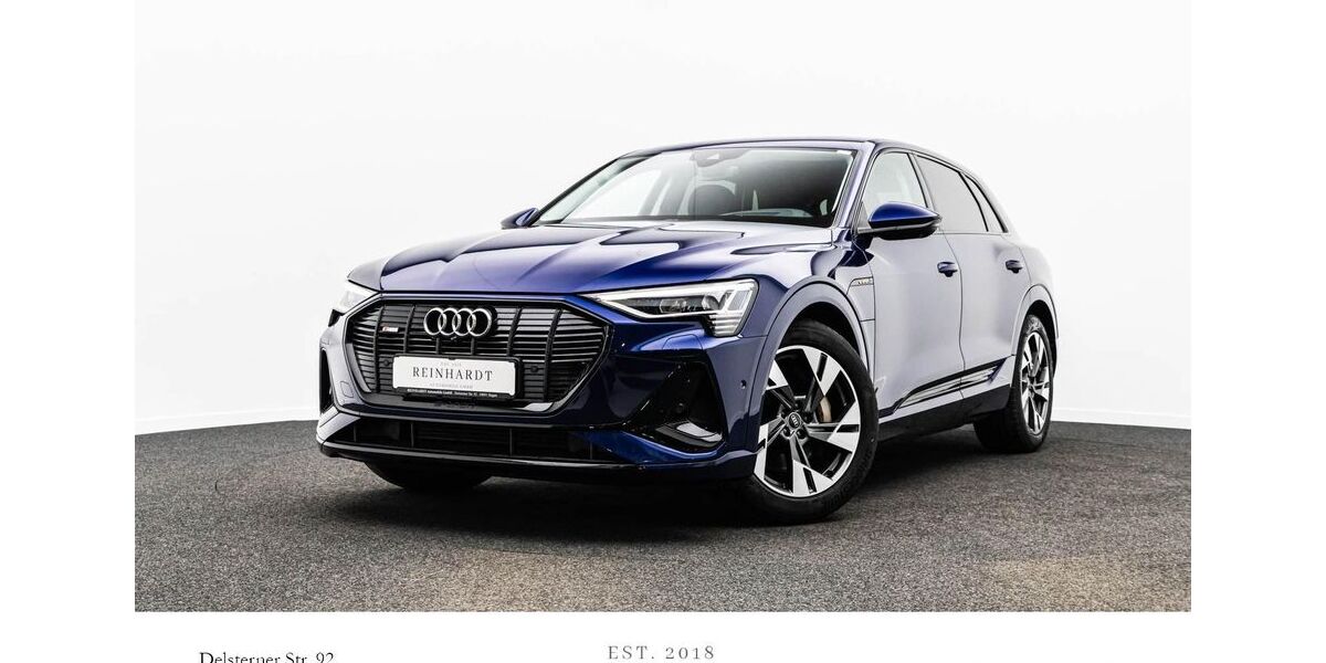 Audi e-tron 59.998 km 29.830 &euro; Hagen 58091