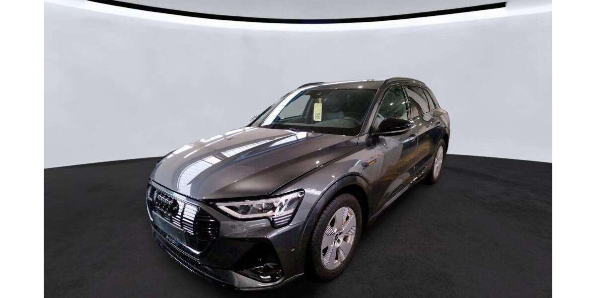 Audi e-tron 62.859 km 31.455 &euro; Hagen 58091
