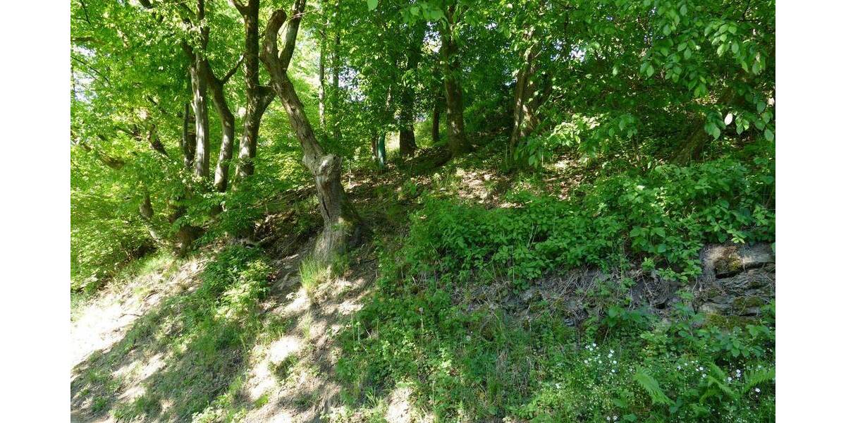 Grundstück Plettenberg - 139.000&euro; | Angebot:25699362