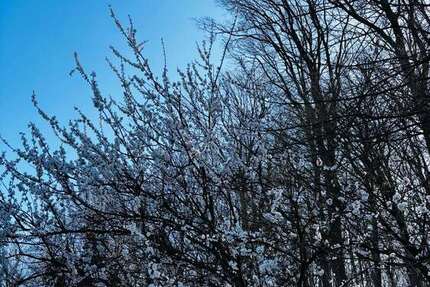 Haus Dortmund Hombruch - 5 Zimmer, 173 m&sup2;, 797.000&euro; | Angebot:25643532