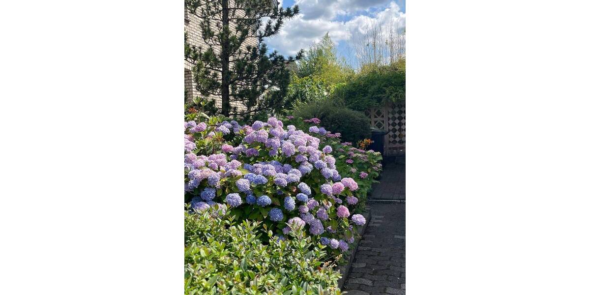 Einfamilienhaus Arnsberg Müschede - 8 Zimmer, 188 m&sup2;, 387.000&euro; | Angebot:25673328